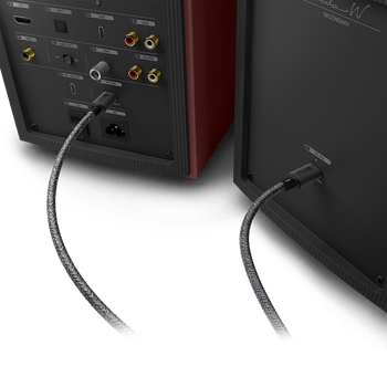 C-Link Interspeaker Cable