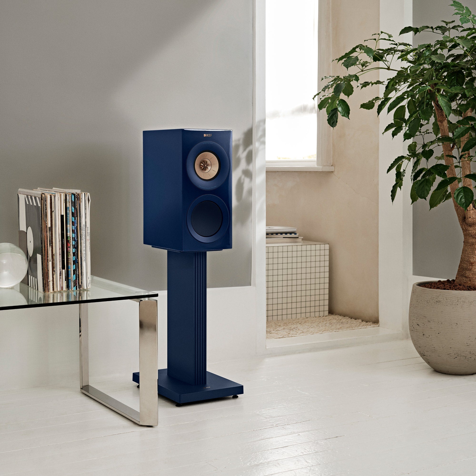 R3 Meta - Bookshelf Speakers